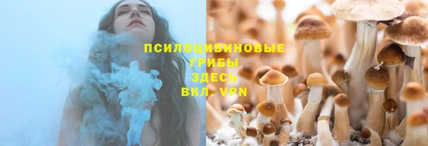 круглые Алзамай