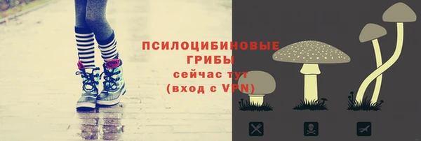 apvp Алексин