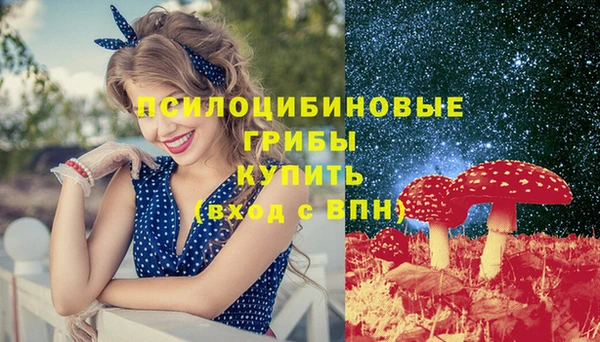apvp Алексин